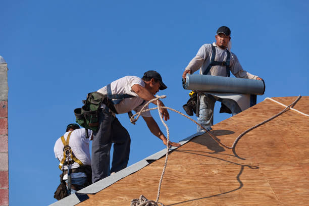 Best Storm Damage Roof Repair  in Greenwood, SC