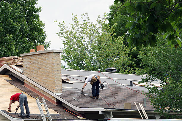 Roof Gutter Cleaning in Greenwood, SC